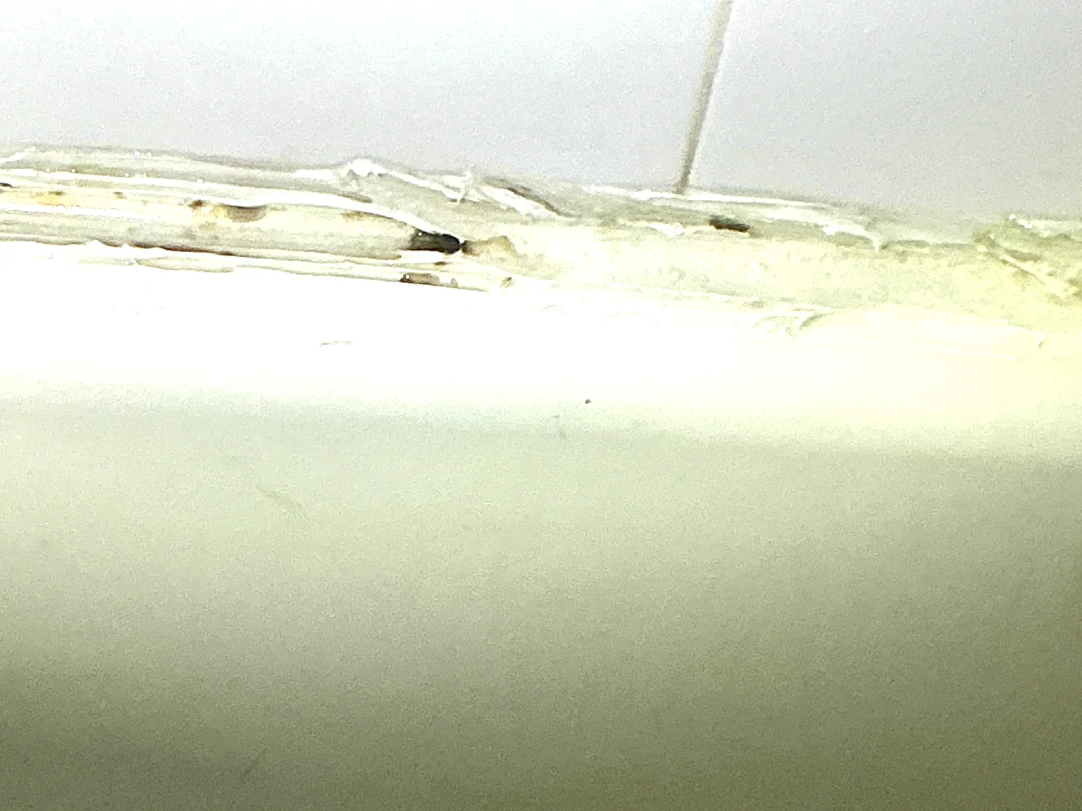Mold in a bathroom found during a mold inspection in Akron..