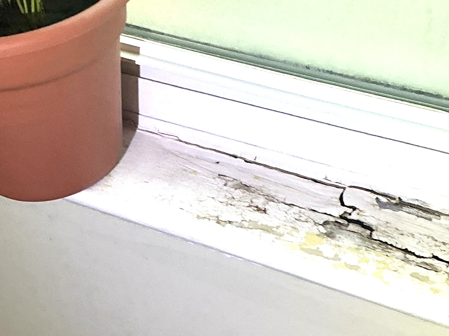 Mold and water damage found during a mold inspection in Akron