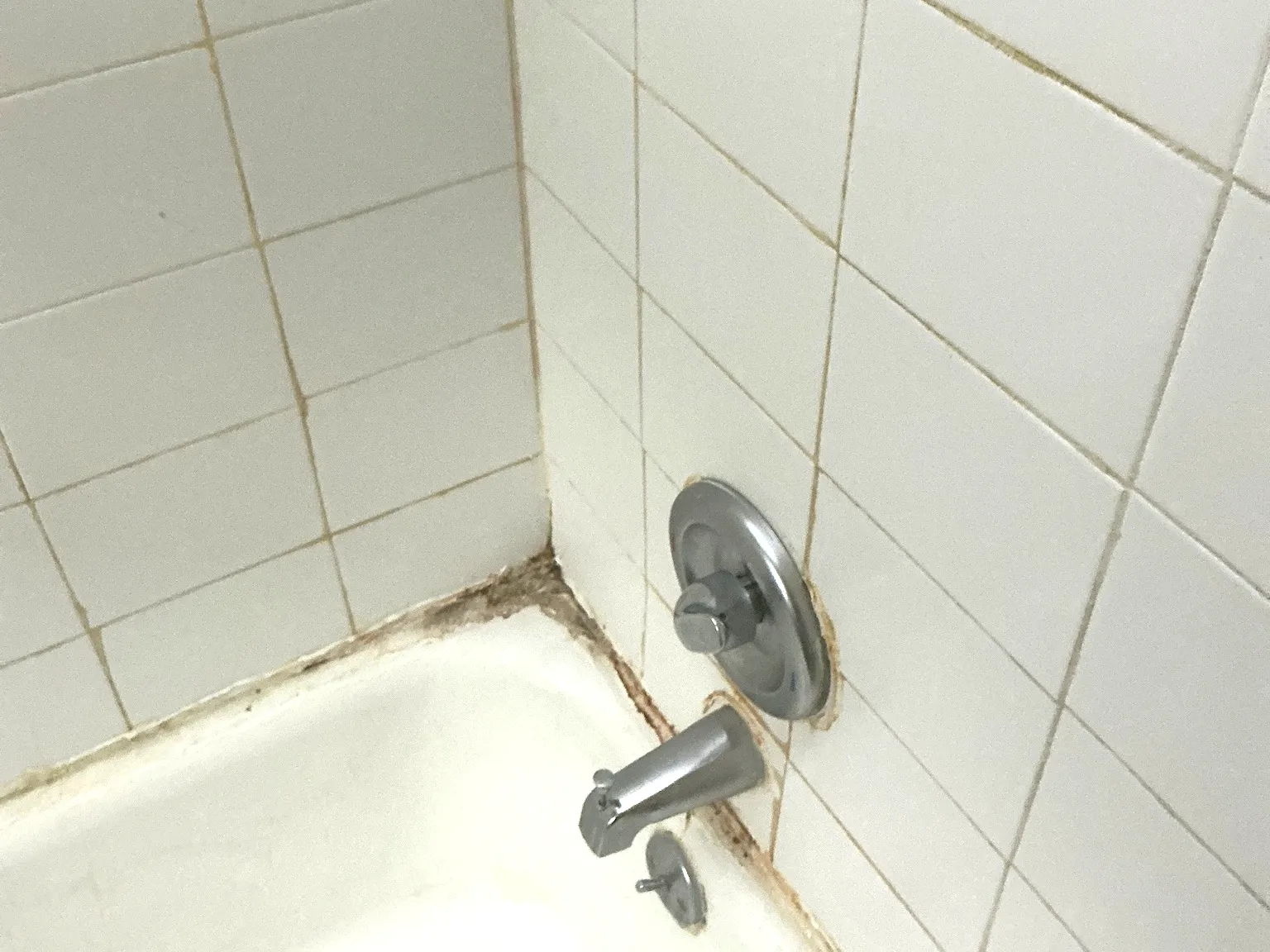 Mold in a tub and the walls found during a mold inspection in Akron.