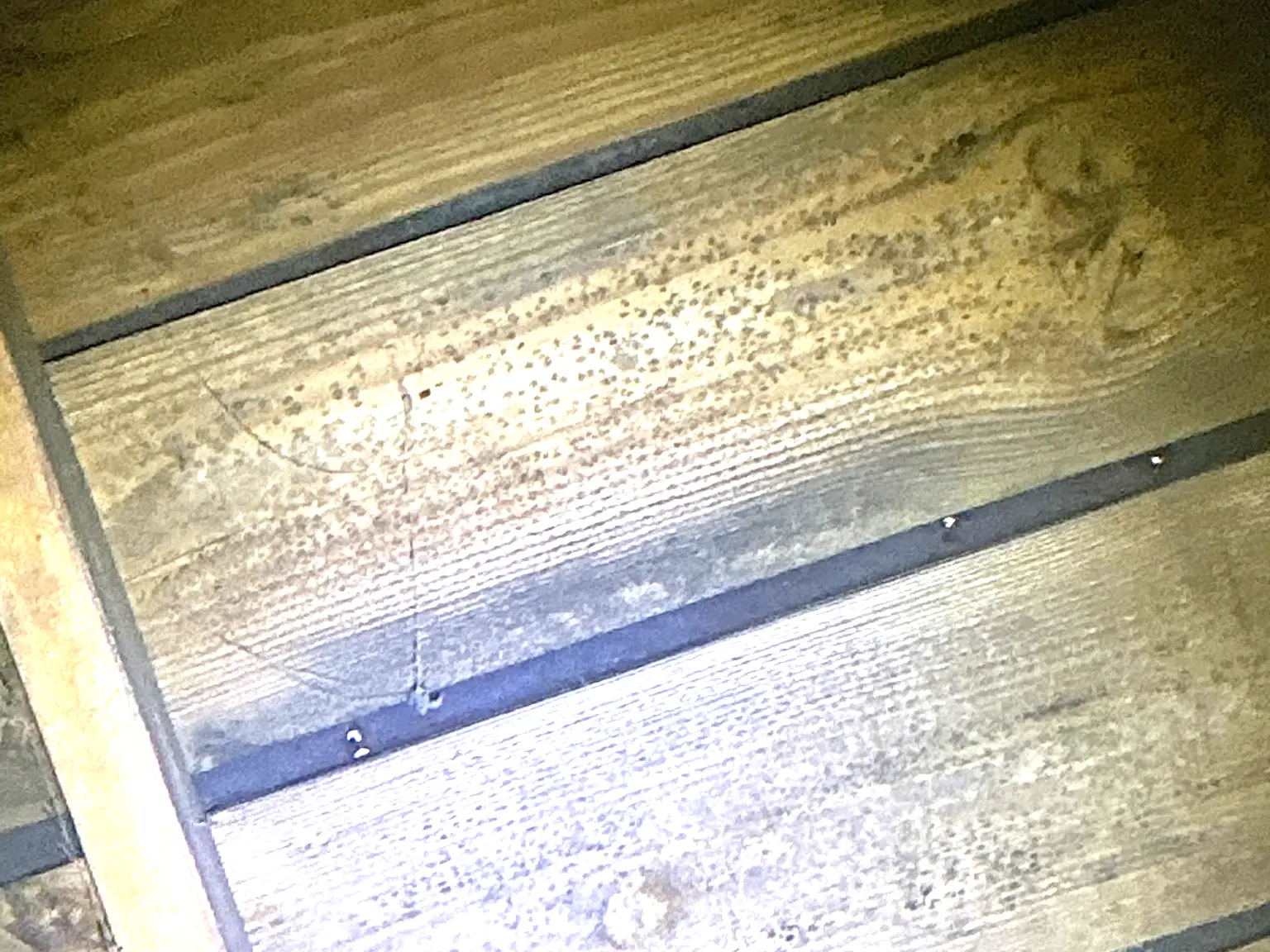 Our mold inspector found mold on the subfloor and joists in Akron, Ohio!