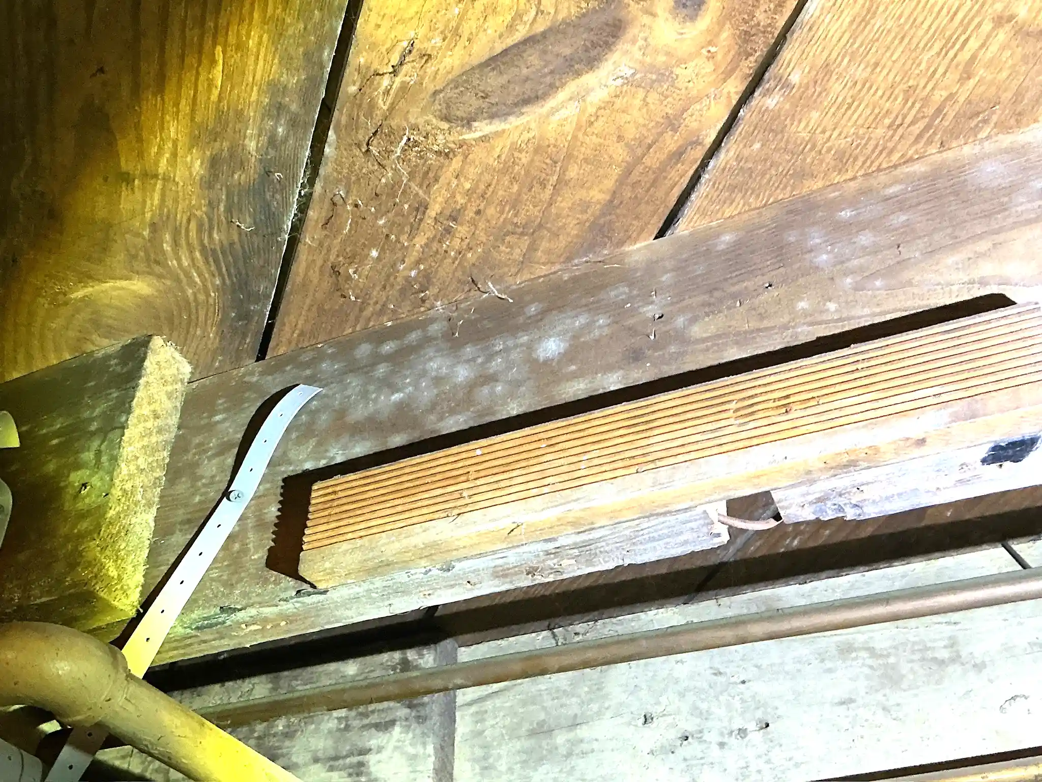 Our mold inspector found a loft of mold on the subfloor and joists in Akron.