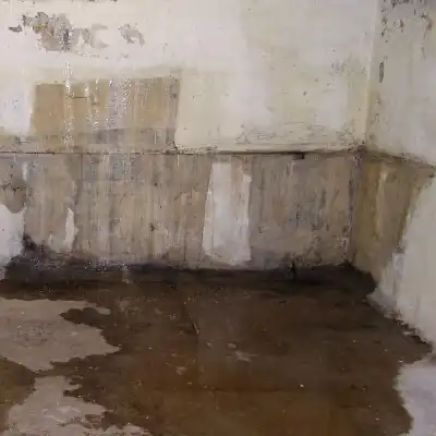 A Moisture damage/Water penetration in basement in New Franklin